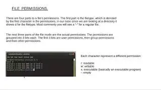 Fundamentals Of Linux #11 - File Permissions