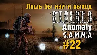 S.T.A.L.K.E.R ANOMALY G.A.M.M.A #22 Прохождение