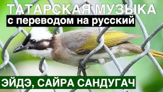 Татарские песни с переводом на русский I Сайра, әйдә, сандугач - Давай, спой, соловушка I Фирдус