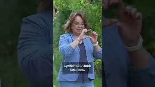 Чему учиться современному лидеру? Всему