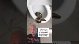 My New Biggest Fear