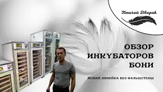 Обзор инкубаторов Бони.