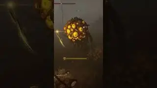Winter Lantern Stress