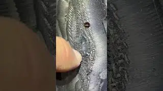 Обстеження пошкодження шини