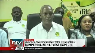 Bumper maize harvest expected in Kenya due to govt subsidy and favourable climate