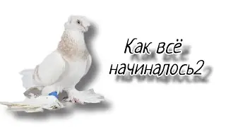 Узбекские голуби в Атырау. Как всё начиналось? Часть 2/номер87012184683