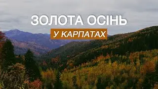 Золота осінь у Карпатах