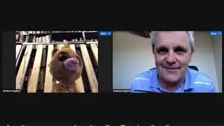 How to Join a Zoom Meeting (for the 1st Time)
