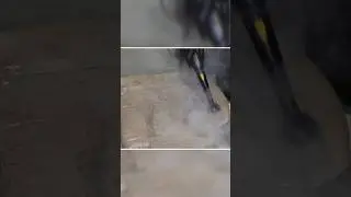 Steamer Cleans FILTHY Leather Seats!