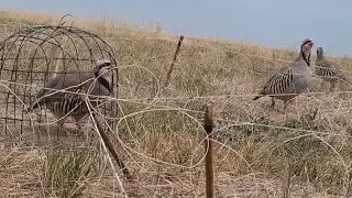 16 октября 2024 г.