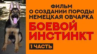 История создания породы Немецкая Овчарка. Фильм 