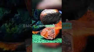 ДЕДПУЛ Из ОКЕАНА 😱 (регенерация)✨ 