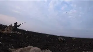 Супер охота. Татарстан. Часть 3 - Коршун напал