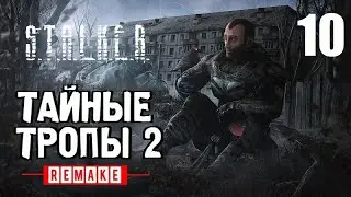 СТАЛКЕР ✸ ТАЙНЫЕ ТРОПЫ 2 (REMAKE) ✸ ОДИН из ЛУЧШИХ МОДОВ! - 10 серия