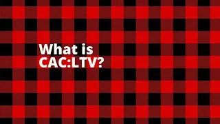 What is CAC:LTV?