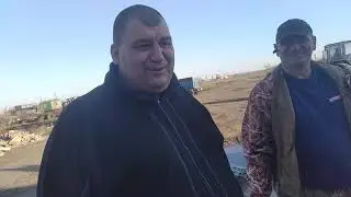 Получаем карбамид и передаём привет в Данию)