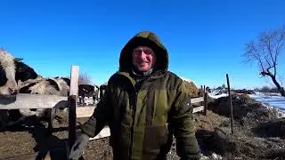 Очень насыщенная жизнь в деревне. Скидываем сено. Уборка у кроликов. Омск Москаленки.