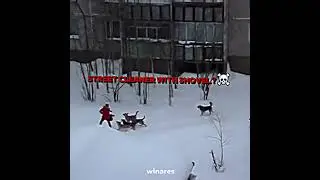 Man has no fear