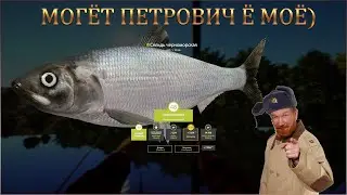 РУССКАЯ РЫБАЛКА 4 РР4  🔴 ГДЕ КЛЮЮТ ТРОФЕИ • НА ЧТО И У КОГО ?) 🎣 Я НЕ В КУРСЕ РРРРЕБЯТ )  ПРОВЕРИМ )