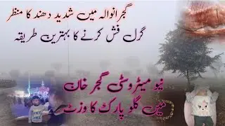 Visit to Glow Park in New Metro City Gujarkhan | گرل فش کرنے کا بہترین طریقہ