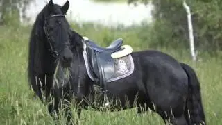 Спасибо за 60!!!