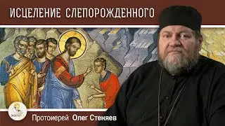 ИСЦЕЛЕНИЕ СЛЕПОРОЖДЕННОГО (Ин. 9:1-38).  Протоиерей Олег Стеняев. Воскресное Евангелие