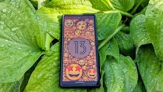 Что мне нравится в Google Pixel 6?