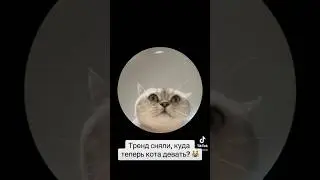 Даже не знаю😹#топ #ор #мем #мемы #юмор #прикол #я #смех #кот #коты #котик #лол #котэ #тренд #жесть