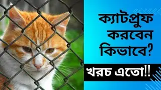 বাসা ক্যাটপ্রুফ করবেন কিভাবে?কেমন খরচ হয়?কোথায় পাওয়া যায়? #catproof #Howtocatproofyourhouse