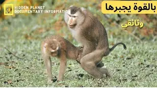 Mated animals