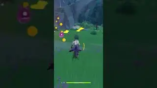 Hidden Exquisite Chest Location Genshin Impact