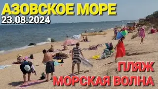 #Голубицкая. Медузы, нефтепродукты. Азовское море.