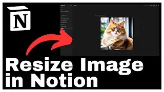 How to Resize Image in Notion