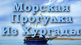 Морская Прогулка на Королевской Пиратской Яхте на остров Большой Гифтун | Хургада Египет 2024