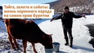 Тайга, золото и сойоты: жизнь коренного народа на самом краю Бурятии | Сибирь.Реалии