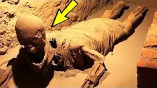 This discovery scared the whole world. No one should have found this! Hard to believe
