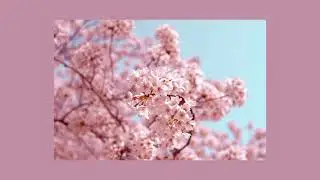 Best Indie Discoveries  | May 2024 (Part 1)