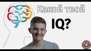 Алоха проходит тест на IQ