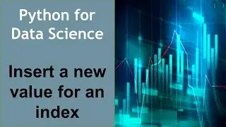 Insert a new value for an index in Python