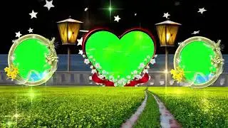 New Wedding Edius video editing effects / Love green screen photo frame background video Animation