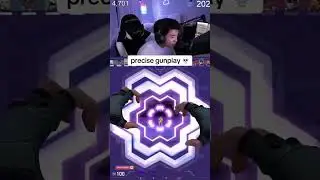 Precise Gunplay 💀