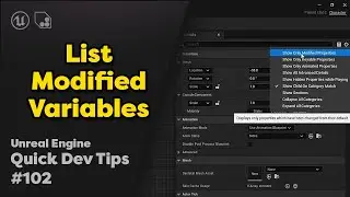 Quick Dev Tip # 102 UE4 / UE5 - List Modified Variables