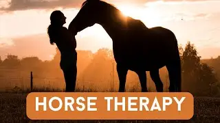 20 Facts about Horses That Deserve Everyone's Attention! Horses: The Best Therapy!
