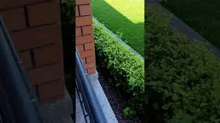 лето, красота😊