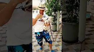 🤣Собака под мухомором🤣