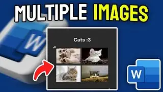 How to Insert Multiple Images in MS Word - Full Guide