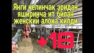 #лайк#обуна_булингЭРИДАН ЯШИРИНЧА СОМОНХОНАДА ЖИНСИЙ АЛОКА КИЛГАН КЕЛИНЧАК