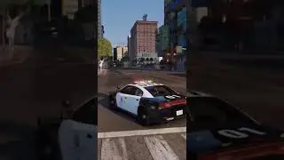 Crazy Pursuit | GTA V LSPDFR