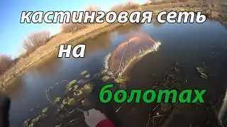 Рыбалка Кастинговой Сетью! на болотах и озёрах!