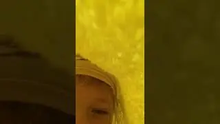 Начало. Часть 2. Викунья в «желтом мире»